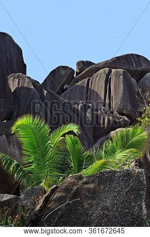 Seychelles Scenery. The Granite Boulders Was Formed During The Precambrian Around 750 Million Years 