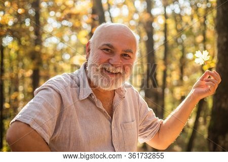 Keep Cheerfulness. Pensioner Hiking In Forest On Sunny Autumn Day. See Beauty In Simple Things. Old 