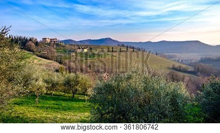 Spring Sunset In The Vineyards Of Collio Friulano