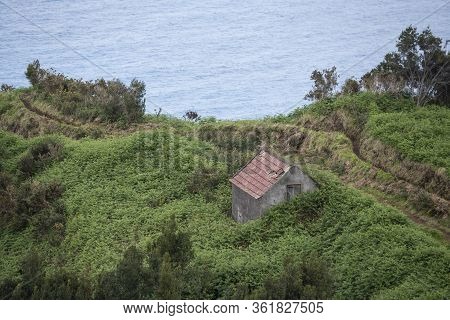 Portugal Madeira Ribeira Da Janela