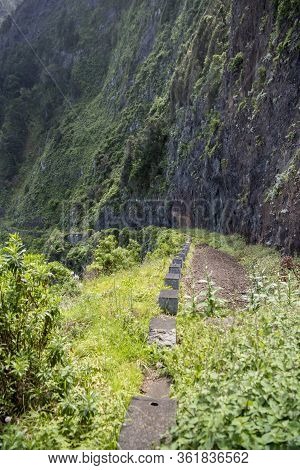 Portugal Madeira Ribeira Da Janela