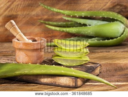Aloe Vera Plant With Medicinal Properties And Cosmetic Uses