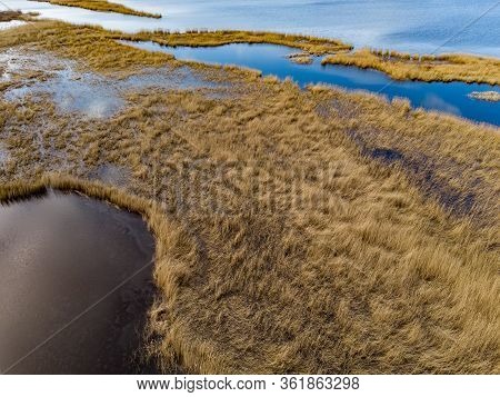 Seaweed Grass Reed Areal Drone Photography View Near River Lielupe. Photo Taken In Europe, Latvia On