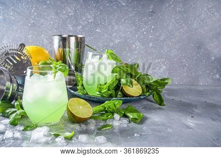 Basil Smash Gin Cocktail