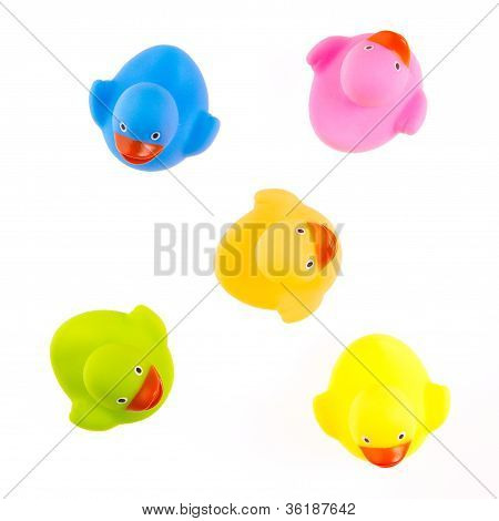 Rubber Ducks Isolated