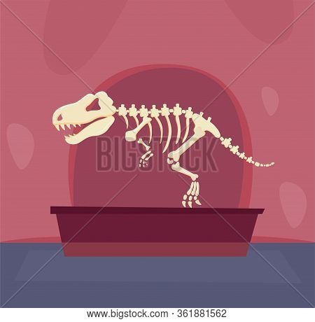 The Skeleton Of A Dinosaur Stands In A Museum