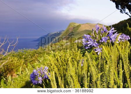 Sao Jorge, Azoren