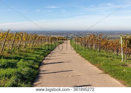 Varnhalt Vineyard With Road And Valley In Background