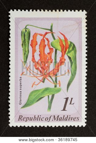 Maldives - Circa 1980: Stamp Printed In The Maldives