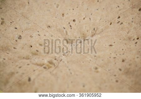 close up active fermentation of bread starter. 