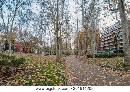 Madrid, Spain - December 13, 2018: A Carpet Of Yellow Foliage Of Winter Plane Trees Along Prado Boul