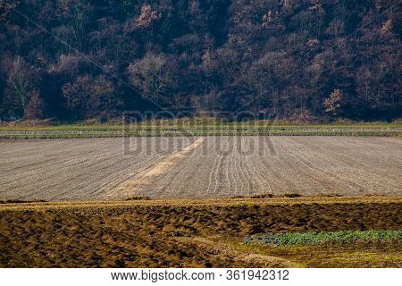 Agricultural Fields With Brown Soil Ready To Be Worked In Winter, As Background The Woods Of The Vic
