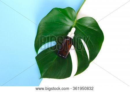 The Concept Of Zero Waste. Serum On A Monstera Sheet