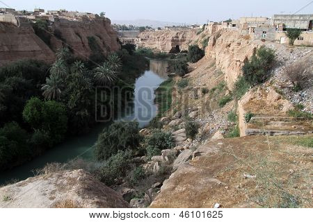 Palmiye ağaçları ve nehir