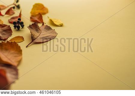 Autumn Composition. Frame Made Of Autumn Dried Leaves On White Background. Copy Space For Text. Sele