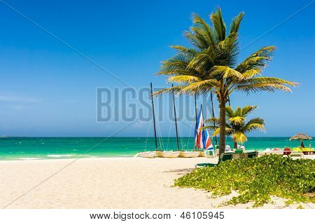 Den tropiske strand Varadero i Cuba med kokos palmer og farverige sejlbåde