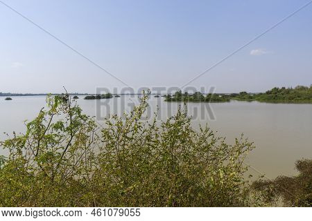 Man Made Reservoir Environmental Conservation Helping Native Species To Recover By Planting Native P