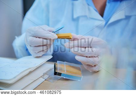 Details: A Lab Technician Hands In Medical Gloves Holding A Container With Litmus Or Reagent Paper F