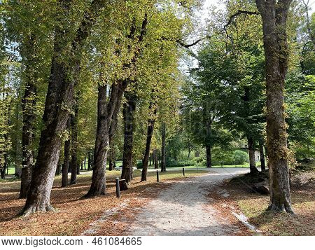 The Snežnik Castle Park - Stari Trg Pri Lozu, Slovenia (park Ob Gradu Snežnik Ali Grajski Park Snežn