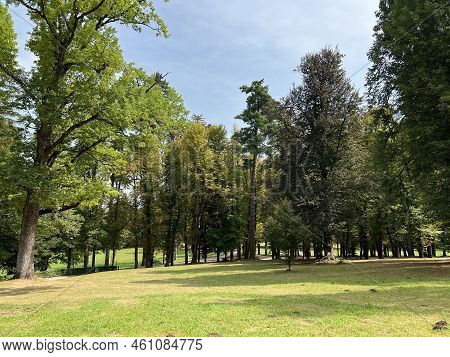 The Sneznik Castle Park - Stari Trg Pri Lozu, Slovenia (park Ob Gradu Snežnik Ali Grajski Park Snežn