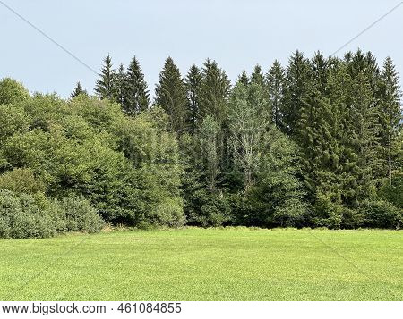 The Sneznik Castle Park - Stari Trg Pri Lozu, Slovenia (park Ob Gradu Snežnik Ali Grajski Park Snežn