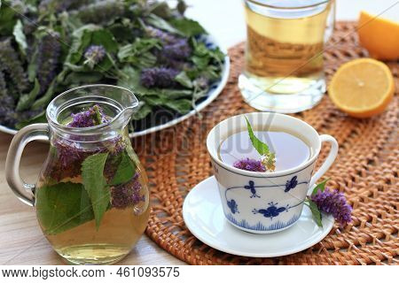 Herbal Tea From Medicinal Herb Agastache Foeniculum, Also Called  Giant Hyssop Or Indian Mint.  Arom