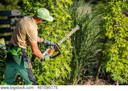 Rear View Photo Of Caucasian Gardener Trimming Green Plant With The Use Of Power Hedge Trimmer Garde