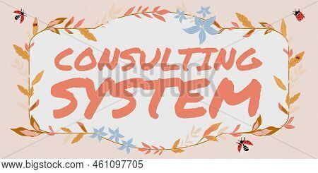 Text Showing Inspiration Consulting Systemhelping Firms Improve Process Adequacy And Functionality. 