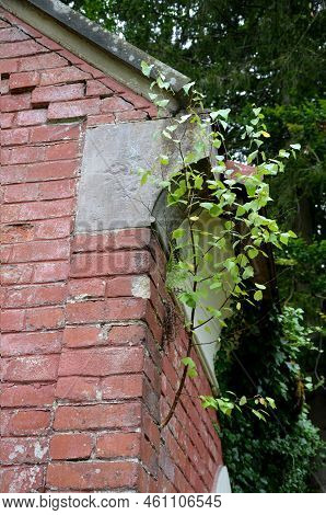 Renovation Of Damaged, Broken And Stolen Tombstones. Pre-war Runic Letters With The Names Of The Dea