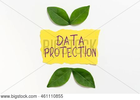 Text Sign Showing Data Protectionprotect Ip Addresses And Personal Data From Harmful Software. Busin