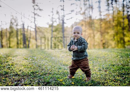 Portrait Of Cute Little Boy Wearing Knitted Hoodie In Nautre, Autumn Concept.