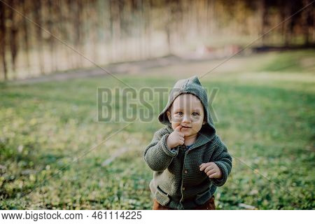 Portrait Of Cute Little Boy Wearing Knitted Hoodie In Nautre, Autumn Concept.