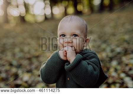 Portrait Of Cute Little Boy Wearing Knitted Hoodie In Nautre, Autumn Concept.