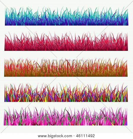 Hierba multicolor.