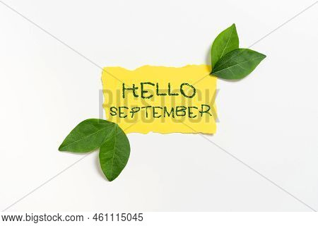 Conceptual Display Hello Septembereagerly Wanting A Warm Welcome To The Month Of September. Business