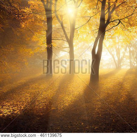 Sunny Morning In Autumn Park Landscape, Sun Rays Shining Through The Branches Of Yellow Trees, Golde