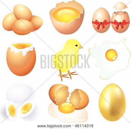 tojás illusztráció készlet