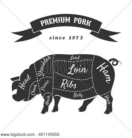 Vector Cuts Of Pork Or Butcher Cuts Scheme Of Pig. Food Steak, Belly And Shoulder, Hog And Swine, Ba