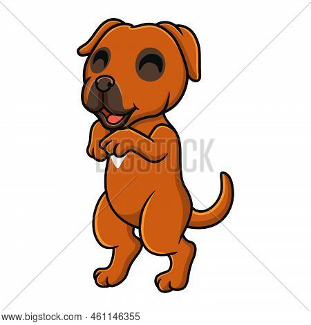 Vector Illustration Of Cute Tosa Inu Cartoon Standing