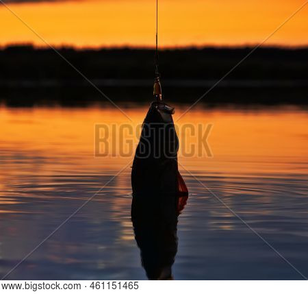 Fishing At Sunset. Catching Predatory Fish On Spinning. Sunset Colors On The Water Surface, Sunny Pa