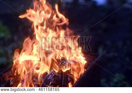 Bright Fire In Chargrill. Close Up. Burning Firewood In Chargrill. Strong Flame. Concept Of Picnic O