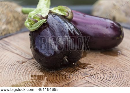 Beautiful Mature Eggplant With Water Droplets On A Tree Stump.