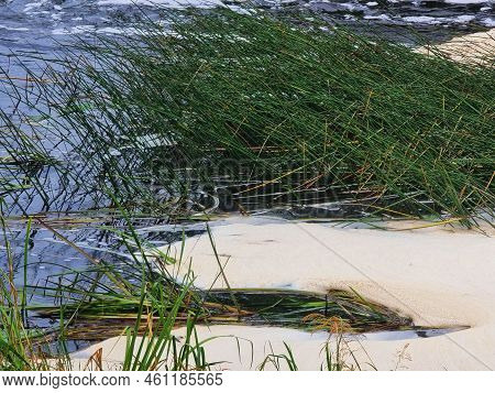 Dirty Brown Foamy Water In The River Nevezis City Panevezys Of Lithuania City Dam