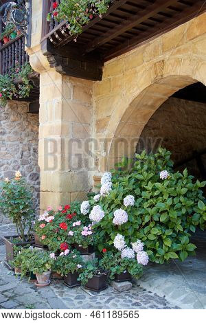 Arcade With Colorful Flowers: Hydrangeas And Geraniums. Upright Photography.