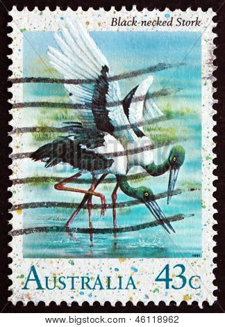 Postage Stamp Australië 1991 Black Rondbodemkolf Stork