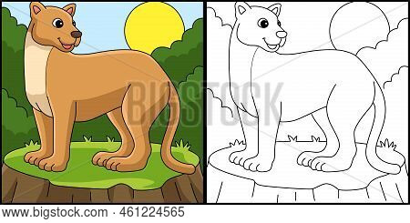 This Coloring Page Shows A Puma Animal. One Side Of This Illustration Is Colored And Serves As An In