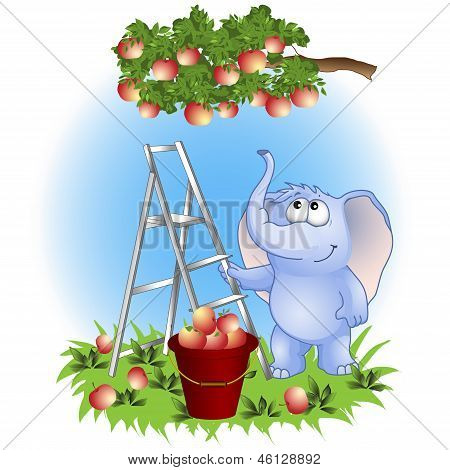 Lustige Elefant