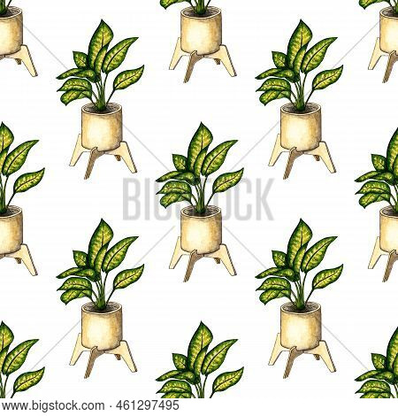 Watercolor Illustration Pattern Of Aglaonema In A Pot, A Flower With Large Leaves. It's Perfect For 
