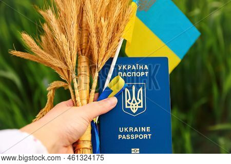 Defocus Female Hand Holding Ukrainian Passport, Flag And Wheat Spikes Of Wheat Tied And Flag On The 