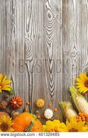 Thanksgiving Day Concept. Top View Vertical Photo Of Sunflowers Raw Vegetables Pumpkins Pattypan Squ